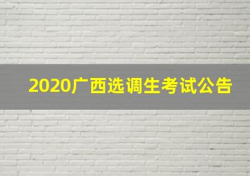 2020广西选调生考试公告