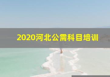 2020河北公需科目培训