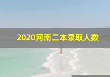 2020河南二本录取人数