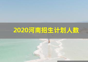 2020河南招生计划人数