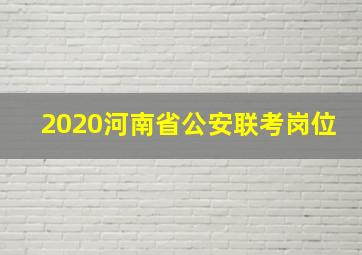 2020河南省公安联考岗位