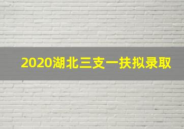 2020湖北三支一扶拟录取