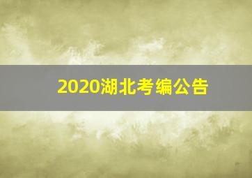 2020湖北考编公告