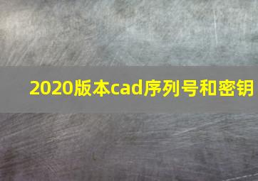 2020版本cad序列号和密钥