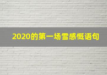 2020的第一场雪感慨语句