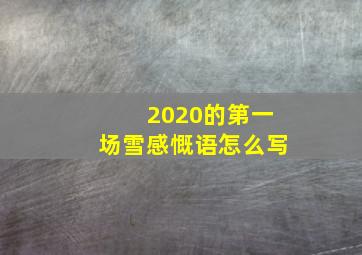 2020的第一场雪感慨语怎么写