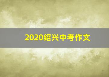 2020绍兴中考作文