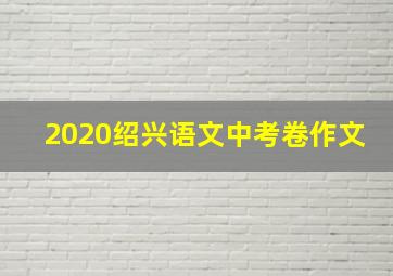 2020绍兴语文中考卷作文