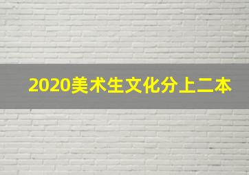 2020美术生文化分上二本