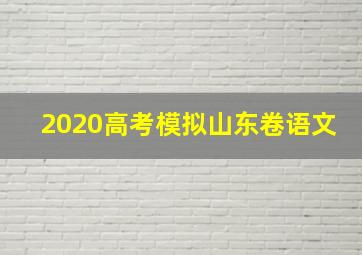 2020高考模拟山东卷语文