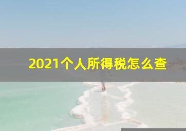 2021个人所得税怎么查