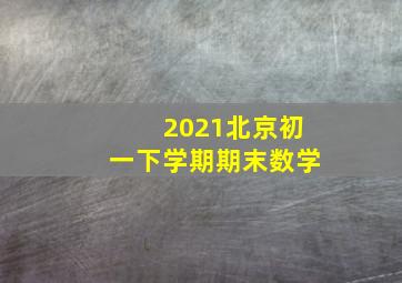 2021北京初一下学期期末数学