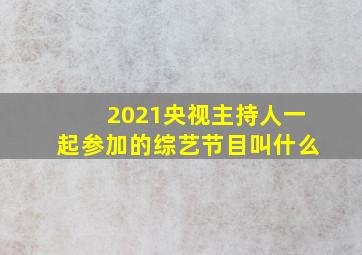 2021央视主持人一起参加的综艺节目叫什么