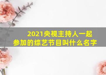 2021央视主持人一起参加的综艺节目叫什么名字