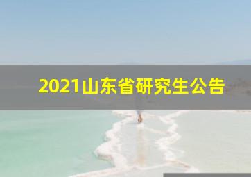 2021山东省研究生公告