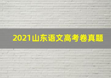 2021山东语文高考卷真题