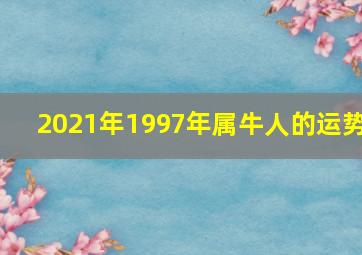 2021年1997年属牛人的运势