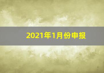 2021年1月份申报