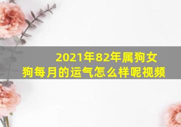 2021年82年属狗女狗每月的运气怎么样呢视频