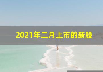 2021年二月上市的新股