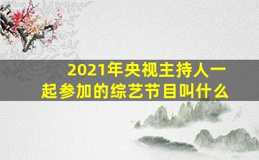 2021年央视主持人一起参加的综艺节目叫什么