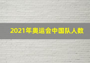 2021年奥运会中国队人数