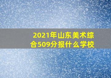 2021年山东美术综合509分报什么学校