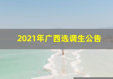 2021年广西选调生公告