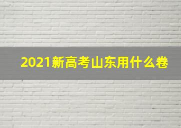 2021新高考山东用什么卷