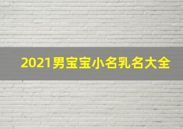 2021男宝宝小名乳名大全