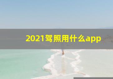 2021驾照用什么app