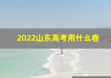 2022山东高考用什么卷