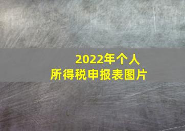 2022年个人所得税申报表图片