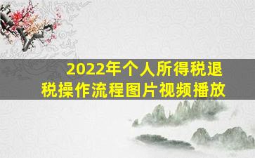 2022年个人所得税退税操作流程图片视频播放