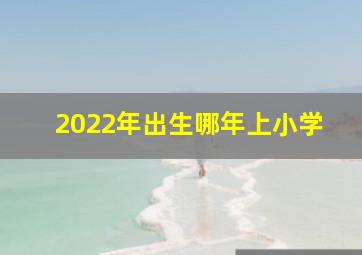 2022年出生哪年上小学