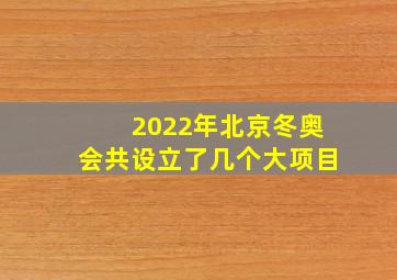 2022年北京冬奥会共设立了几个大项目