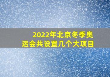 2022年北京冬季奥运会共设置几个大项目