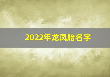 2022年龙凤胎名字