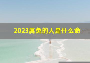 2023属兔的人是什么命