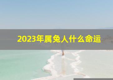 2023年属兔人什么命运