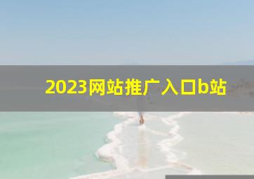 2023网站推广入口b站