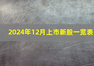 2024年12月上市新股一览表