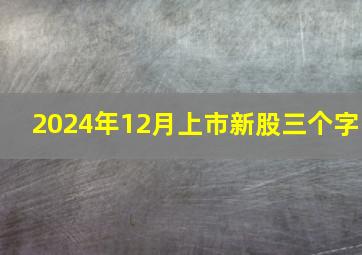 2024年12月上市新股三个字