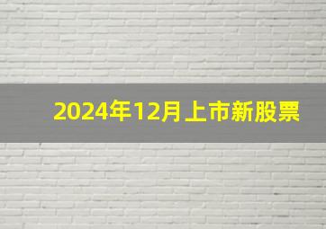 2024年12月上市新股票