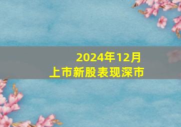 2024年12月上市新股表现深市