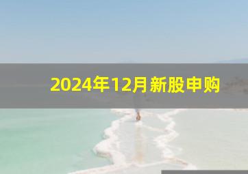 2024年12月新股申购