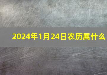 2024年1月24日农历属什么