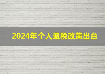 2024年个人退税政策出台