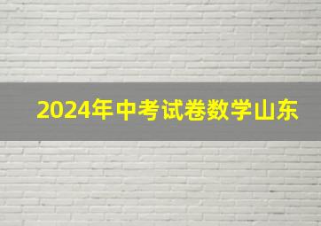 2024年中考试卷数学山东