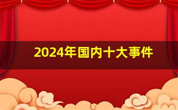 2024年国内十大事件